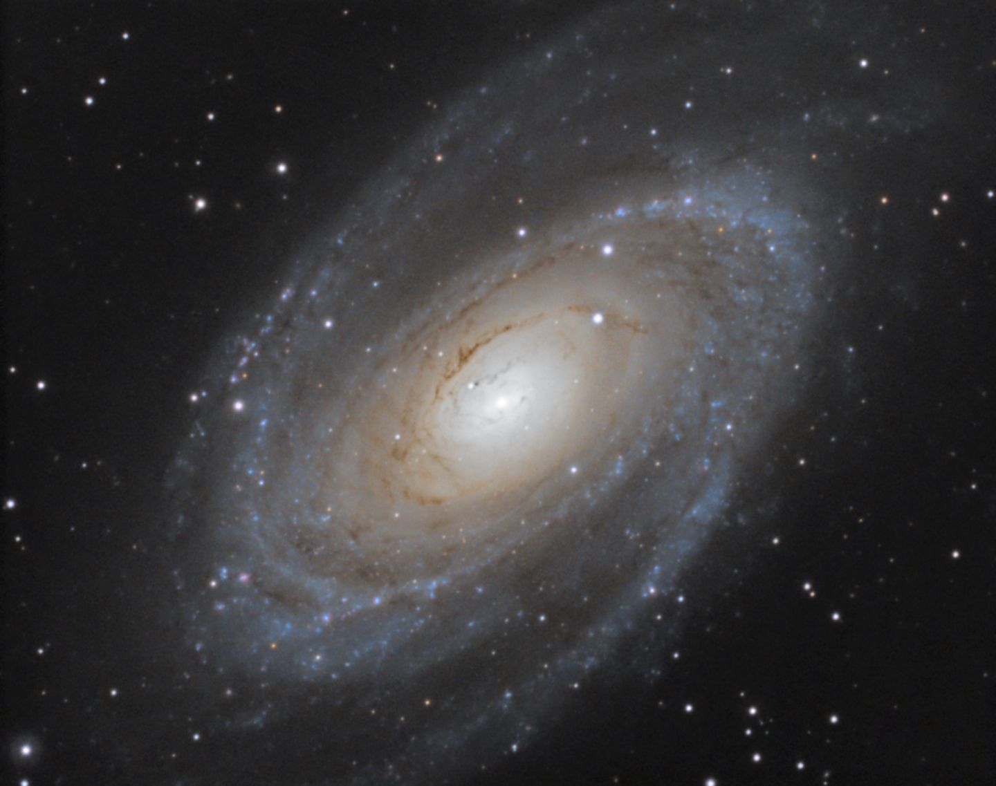 M81 Bode Galaxie