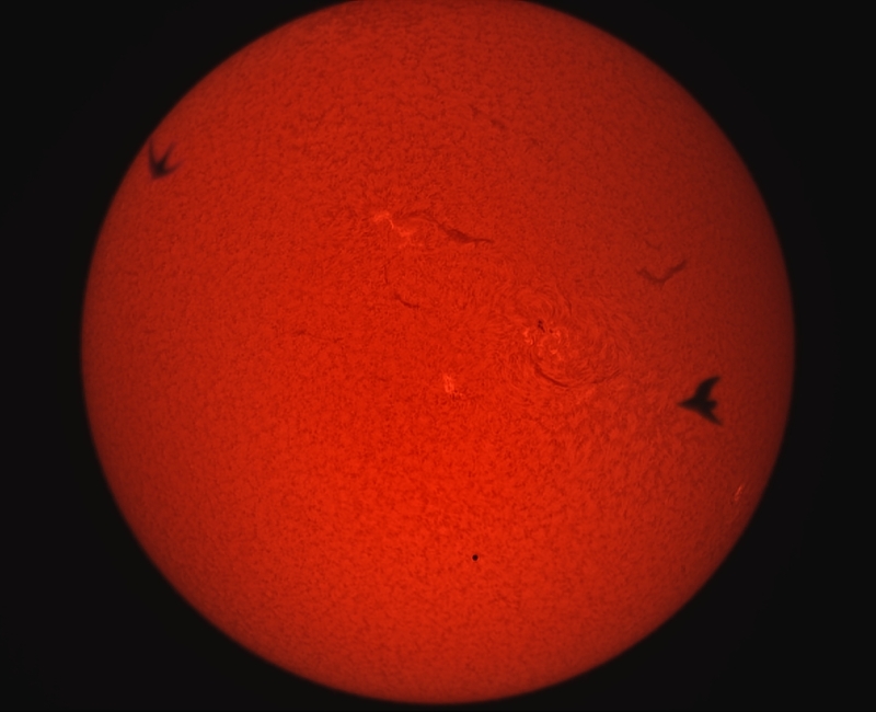 Sonne mit Merkurtransit und Vögel