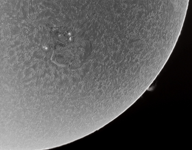 detailreiche schwarz-weiß Aufnahme der Sonnenoberfläche vom 31.10.13